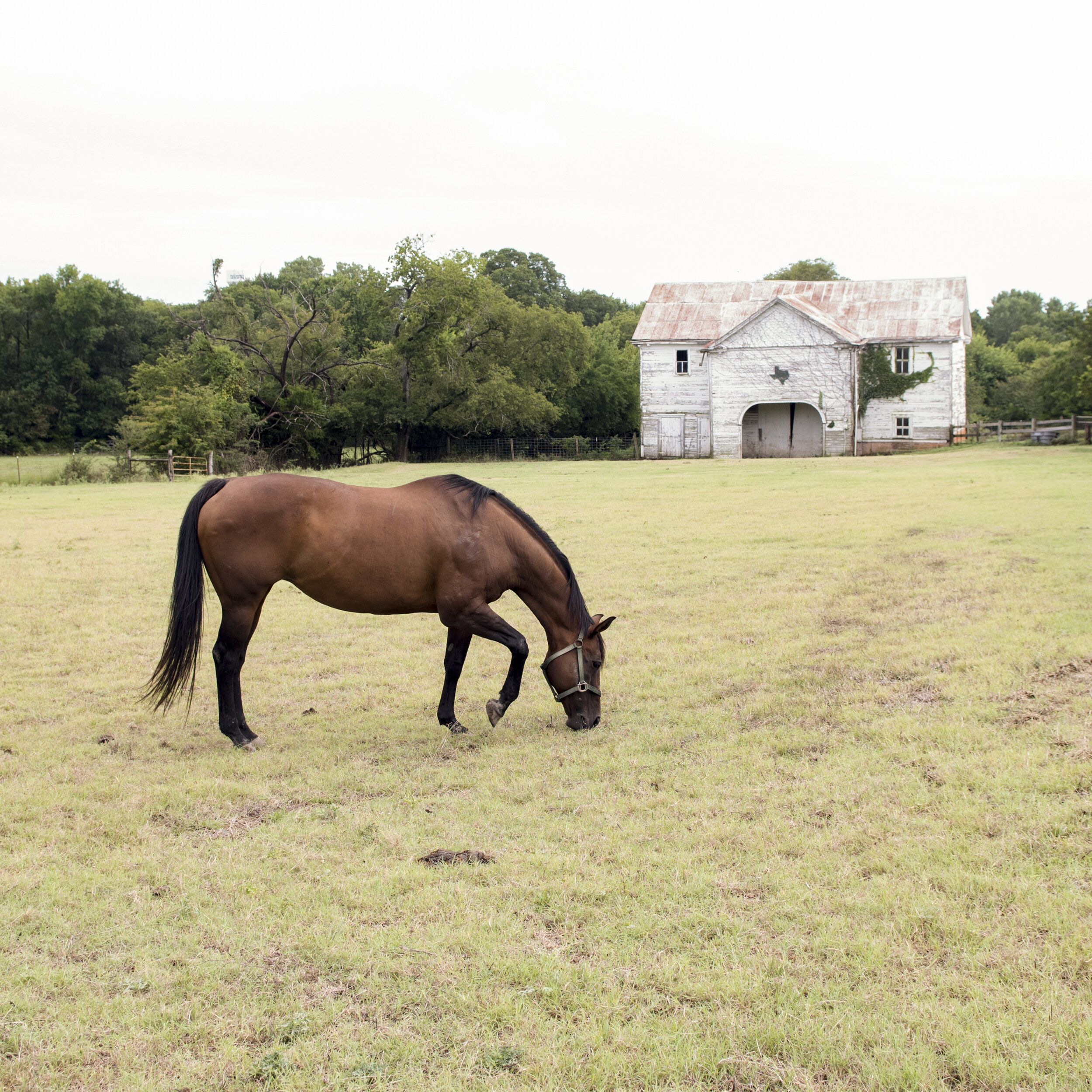 2020__Katherine_Hershey_Photography-89.jpg