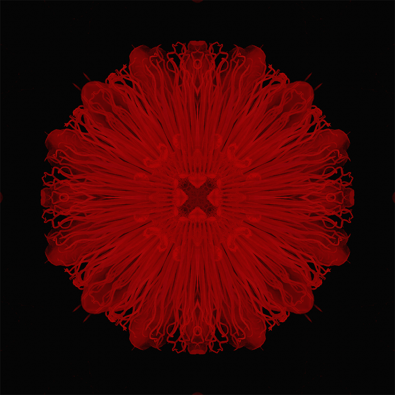 Scarlet