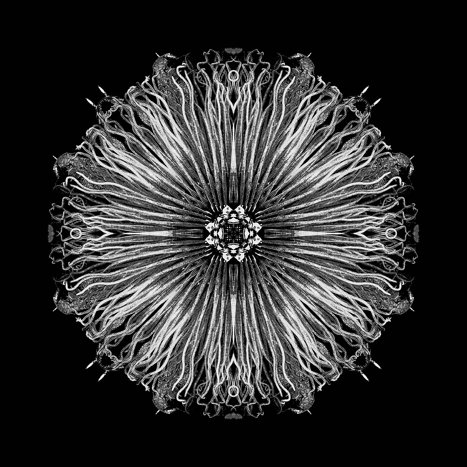 Etched Expanse