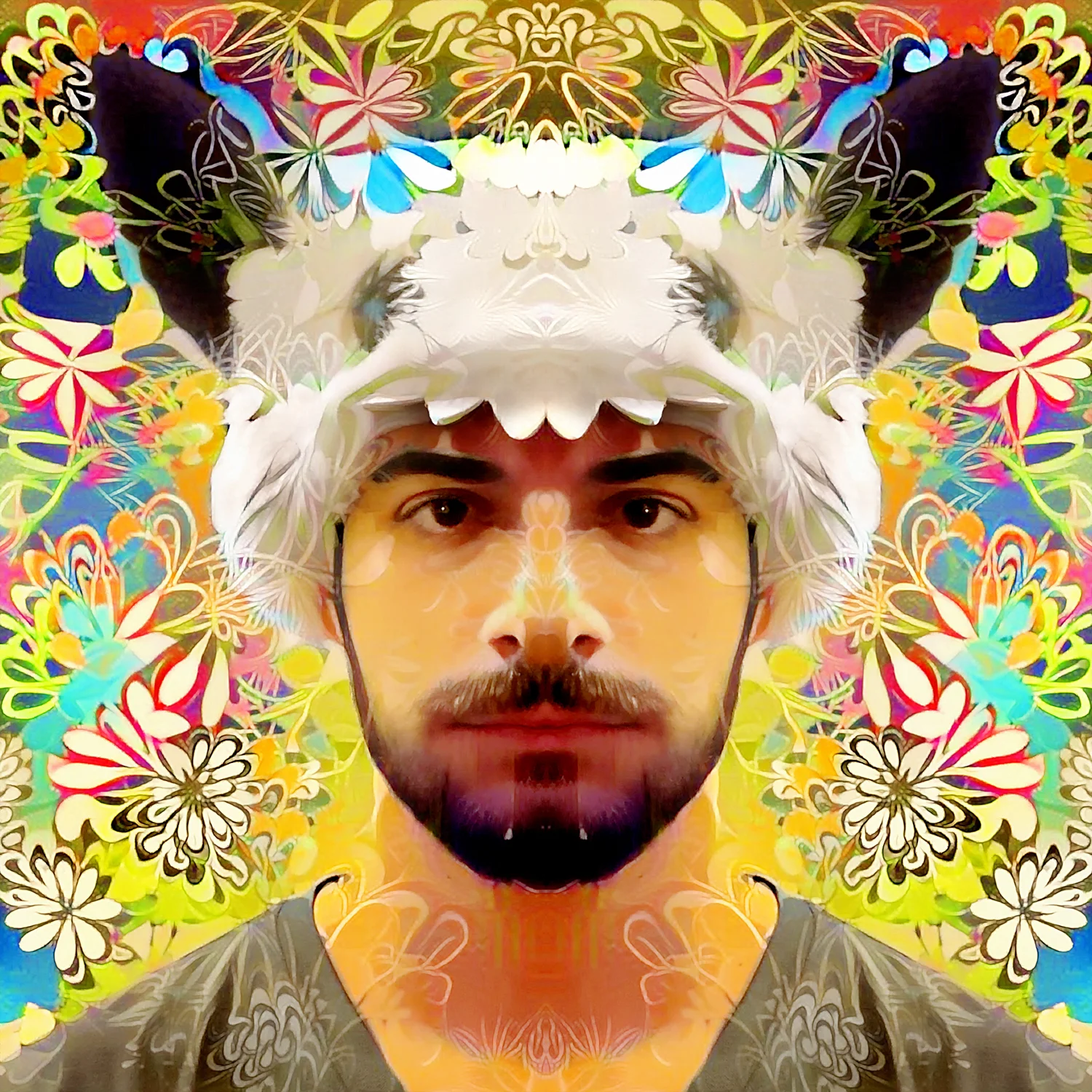 Idan Flower Power 1500.jpg
