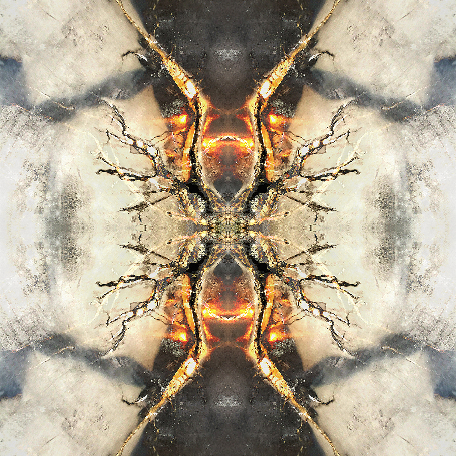 Mind Meld