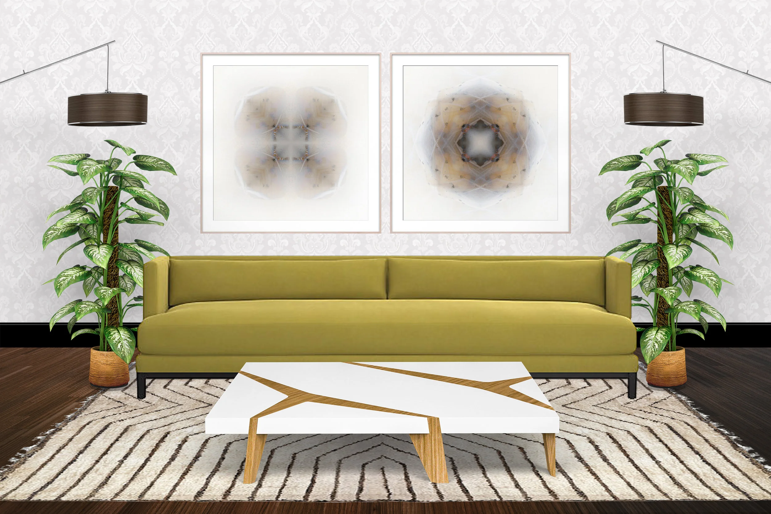 Large Framed Moth Prints.jpg