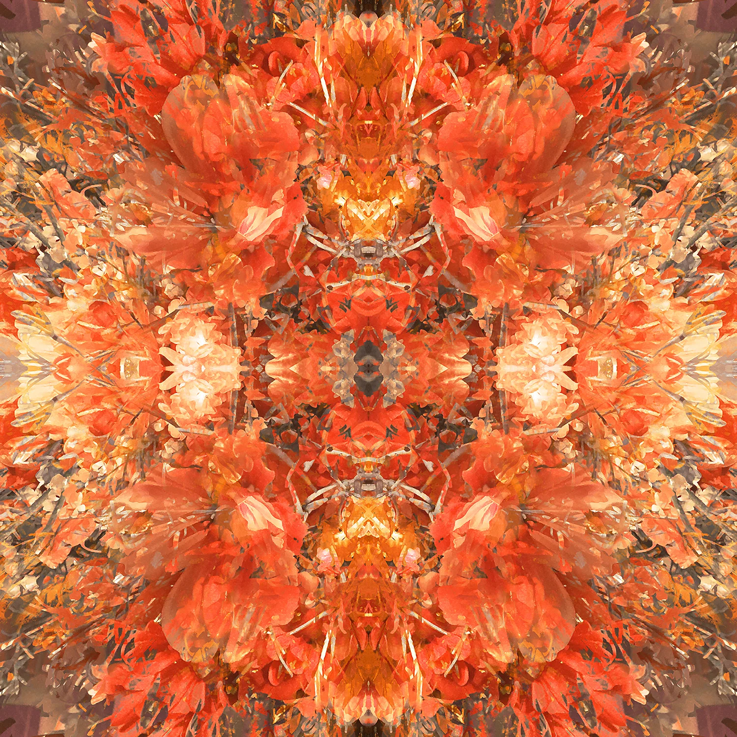 Bouquet | Fall Celebration