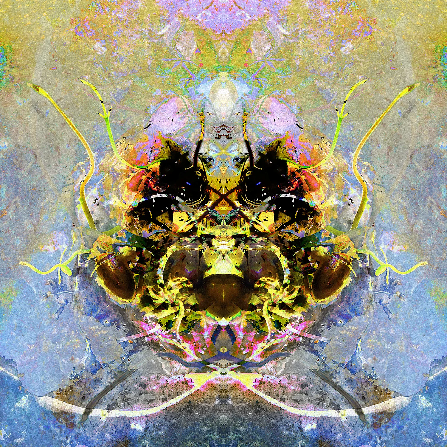 Lychee Seed | Alien.jpg