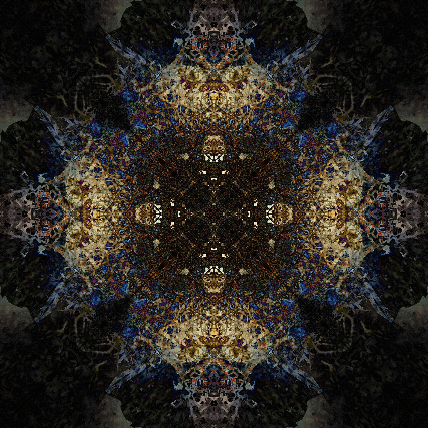 Dark Extravagance