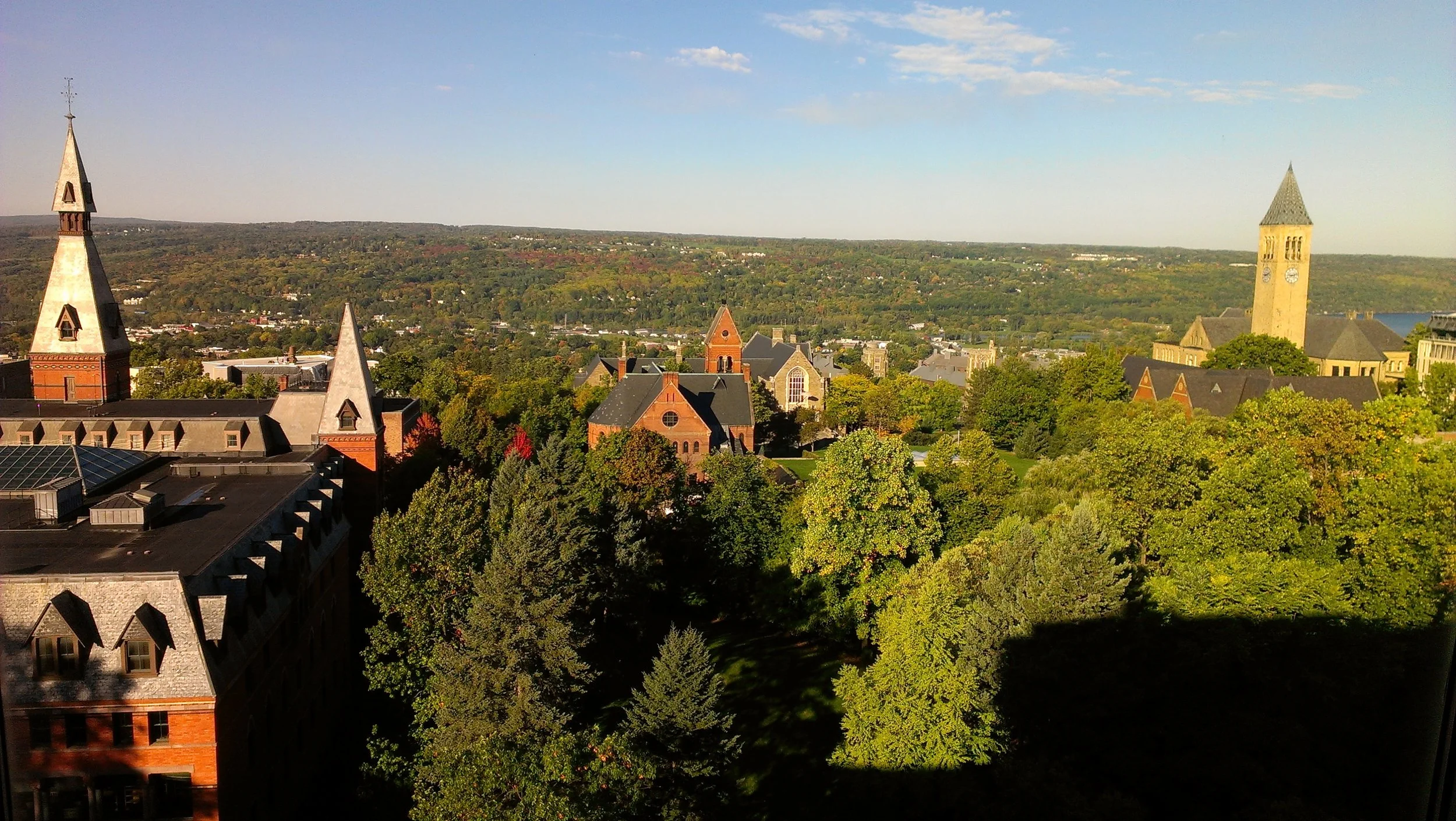 Cornell University