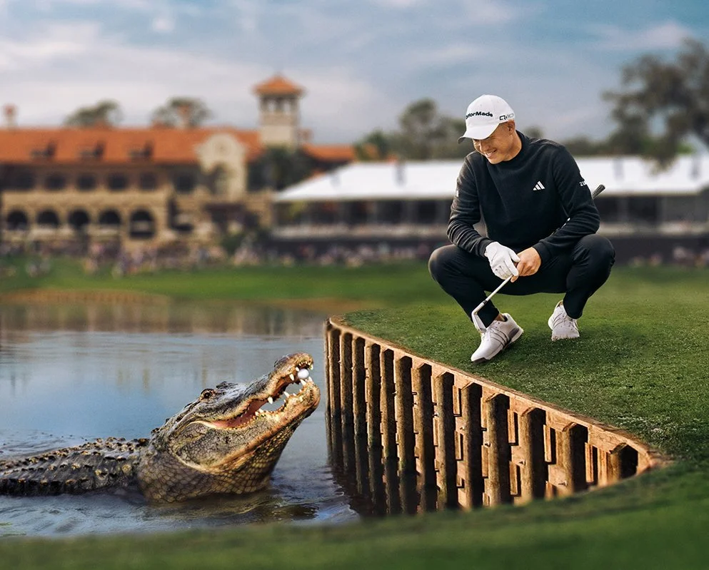 the impossible shot.jpg