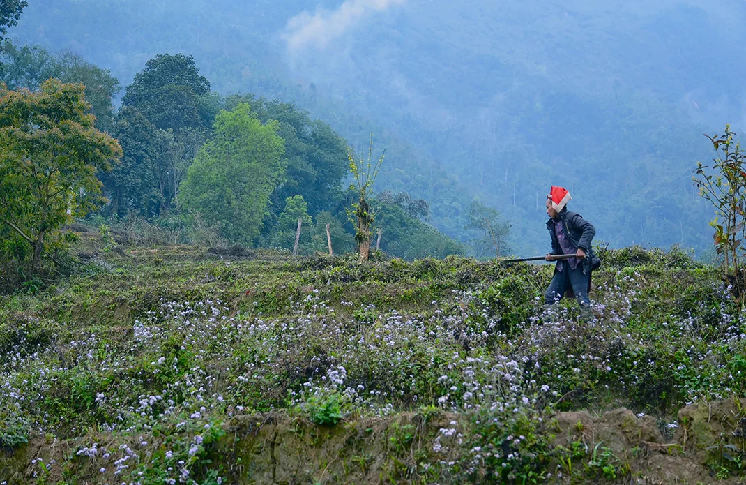 Sapa #4, Vietnam 2011