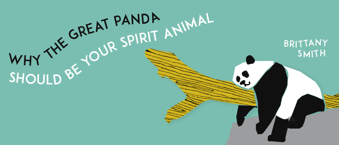 Why The Great Panda should be your Spirit Animal — UTS Society of  Communications