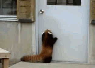 giphy-downsized.gif