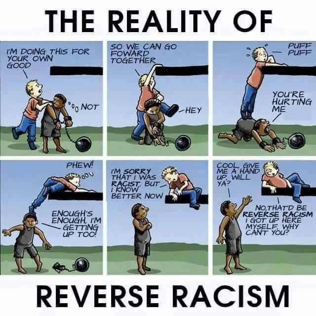 realitiesofreverseracism.jpg