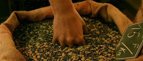 giphy (22).gif