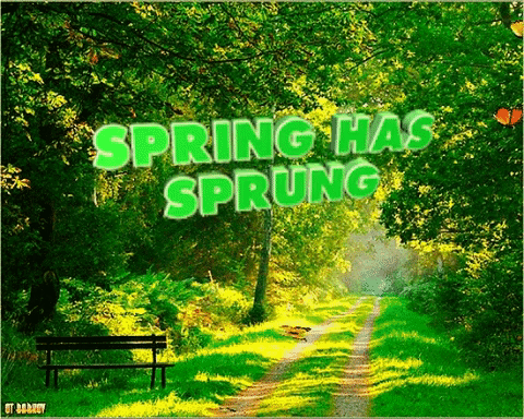 5 New Things To Try This Spring Uts Society Of Communications 5 New Things To Try This Spring Uts Society Of Communications