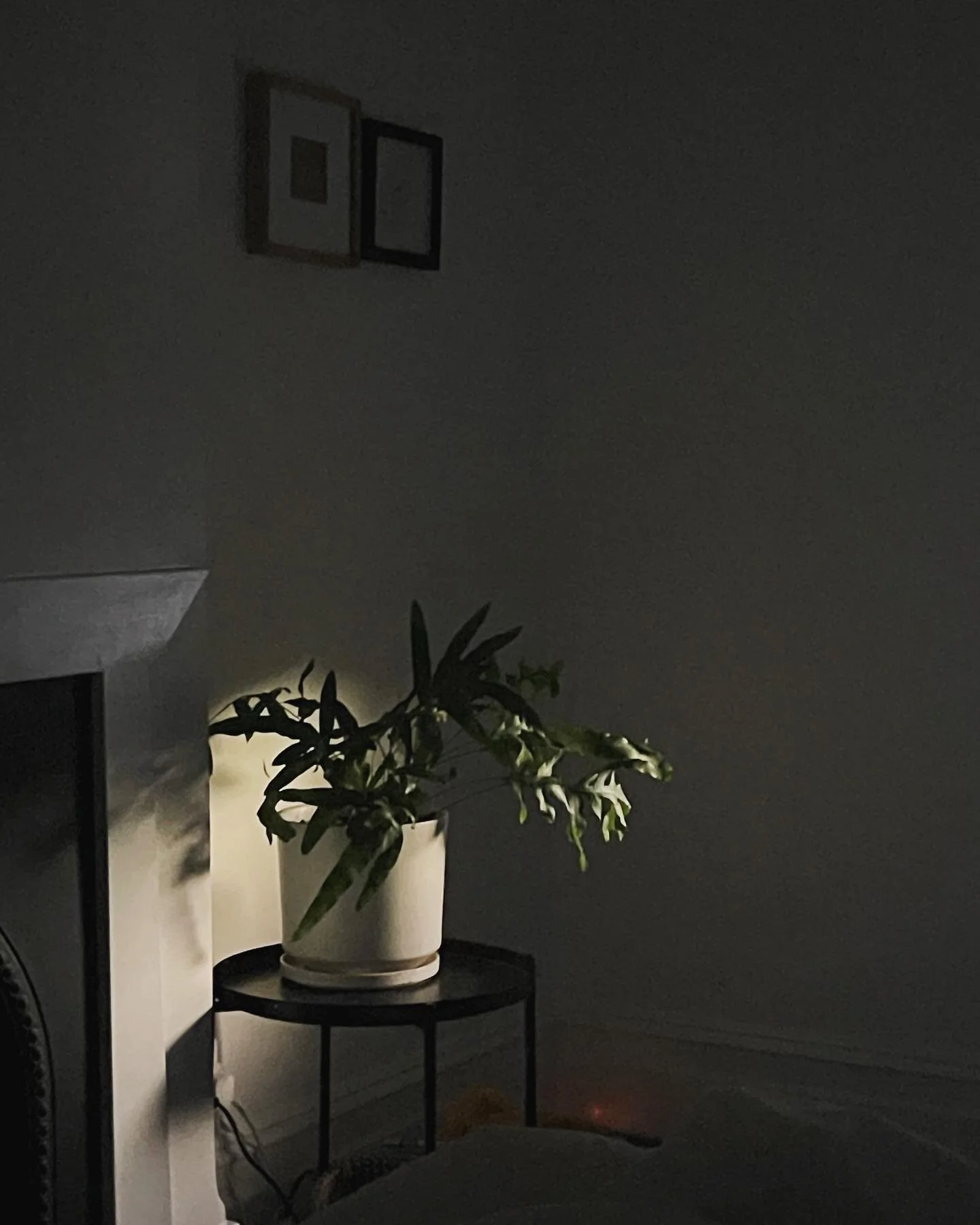 We moved things around in the bedroom and now I love the evening light as much as the morning light.