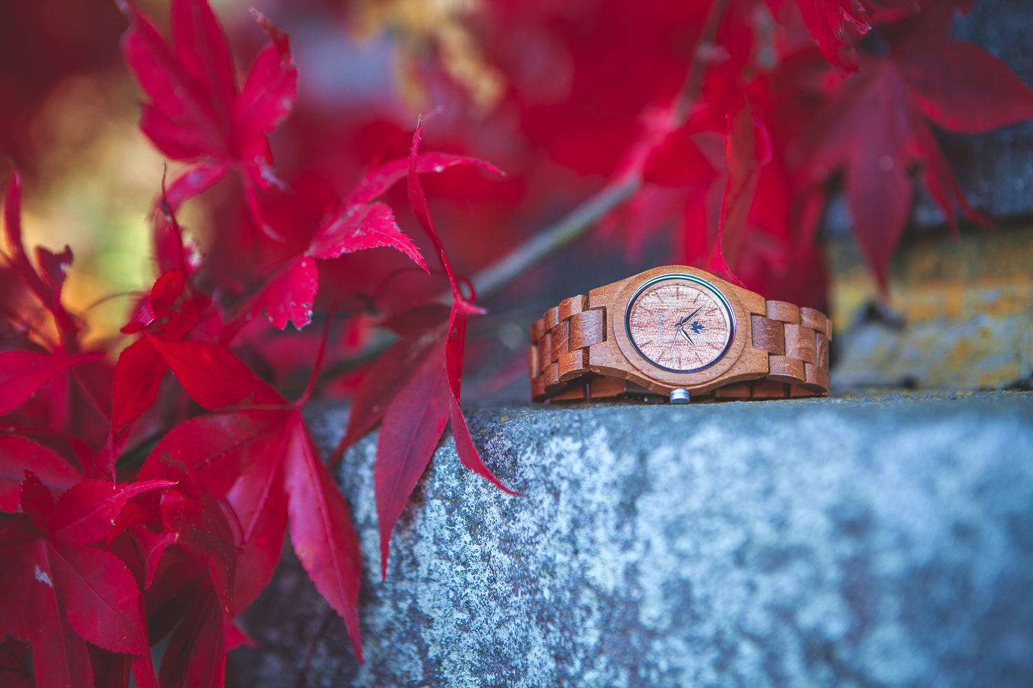  Client: Woodwatch 