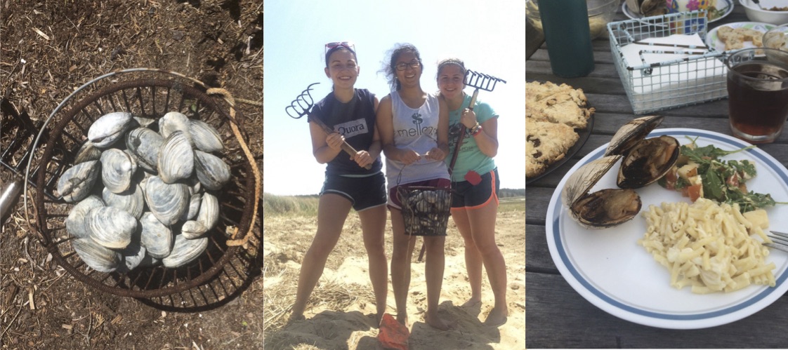We spent an afternoon digging for clams, then grilling and eating them. A delicious and rewarding venture!