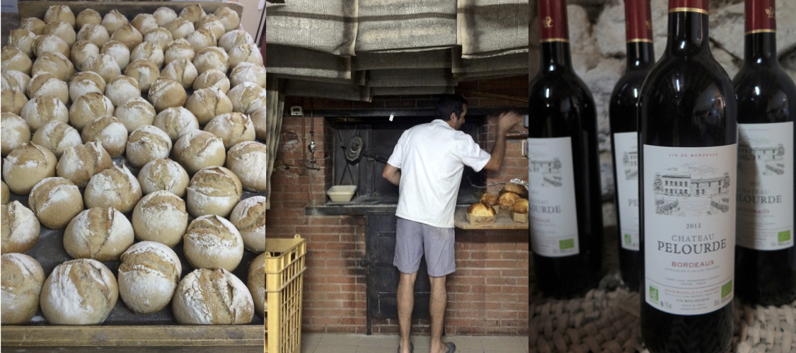 Went behind-the-scenes at a boulangerie and winery. The wine pictured is the father of my host-family’s own creation, featuring a drawing of their house on the label.