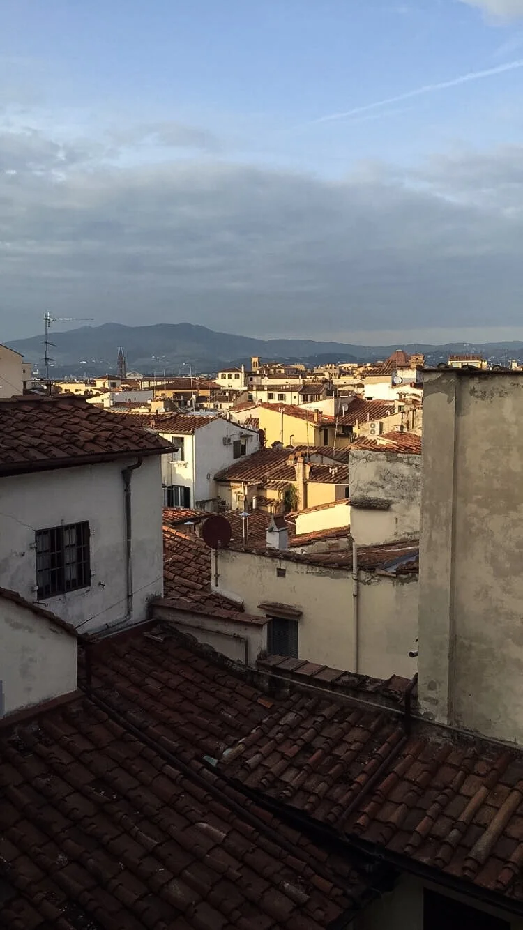 View out a school window