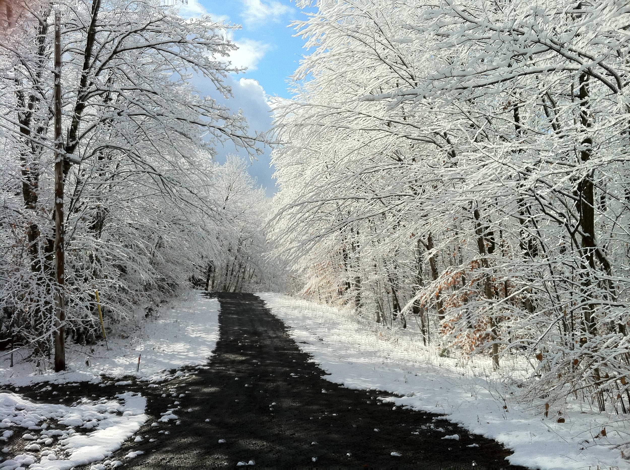  Photo par Jean-Philippe Cyr    