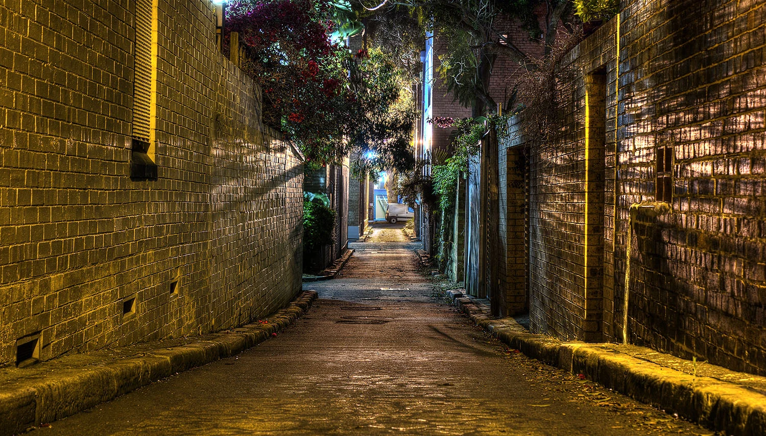 Chippendale Street 6.jpg