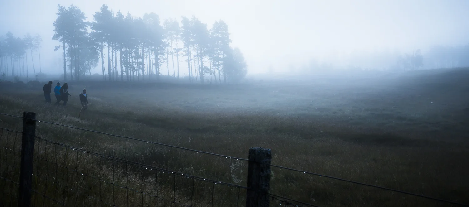 Haggis Tours Tree Plantation.jpg