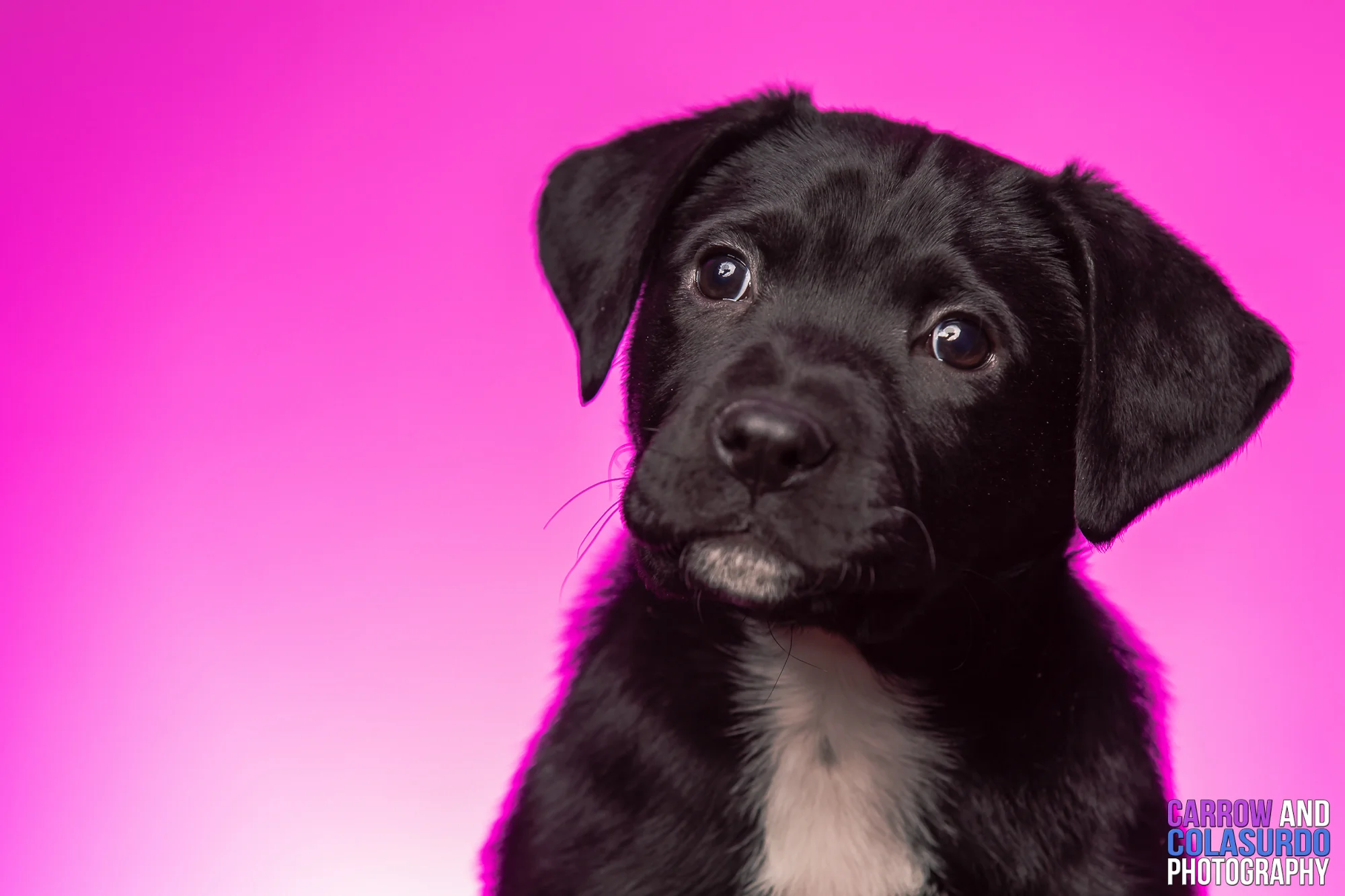 New year...new service! 