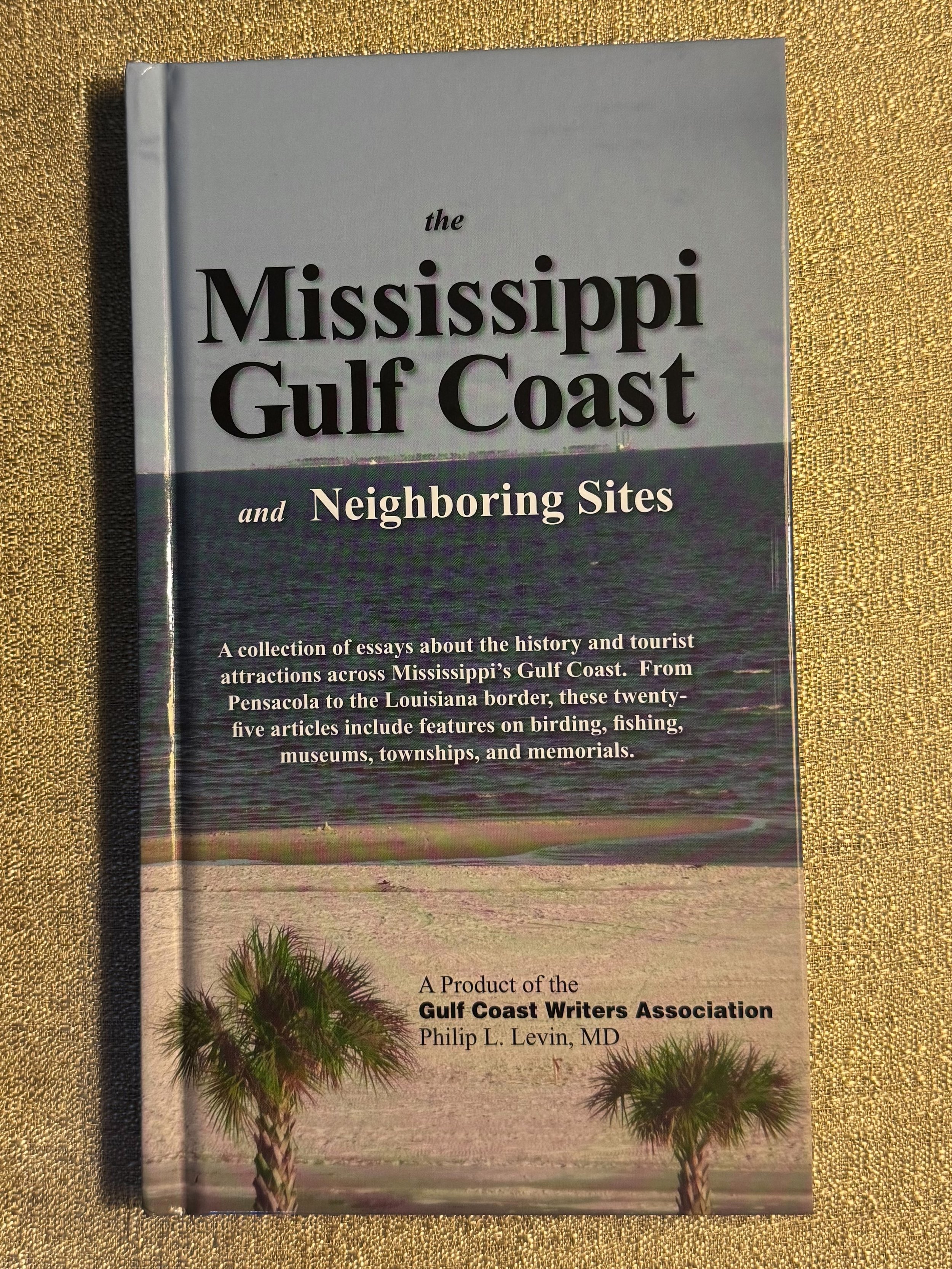 IMG_0767 2 Book Cover.jpg