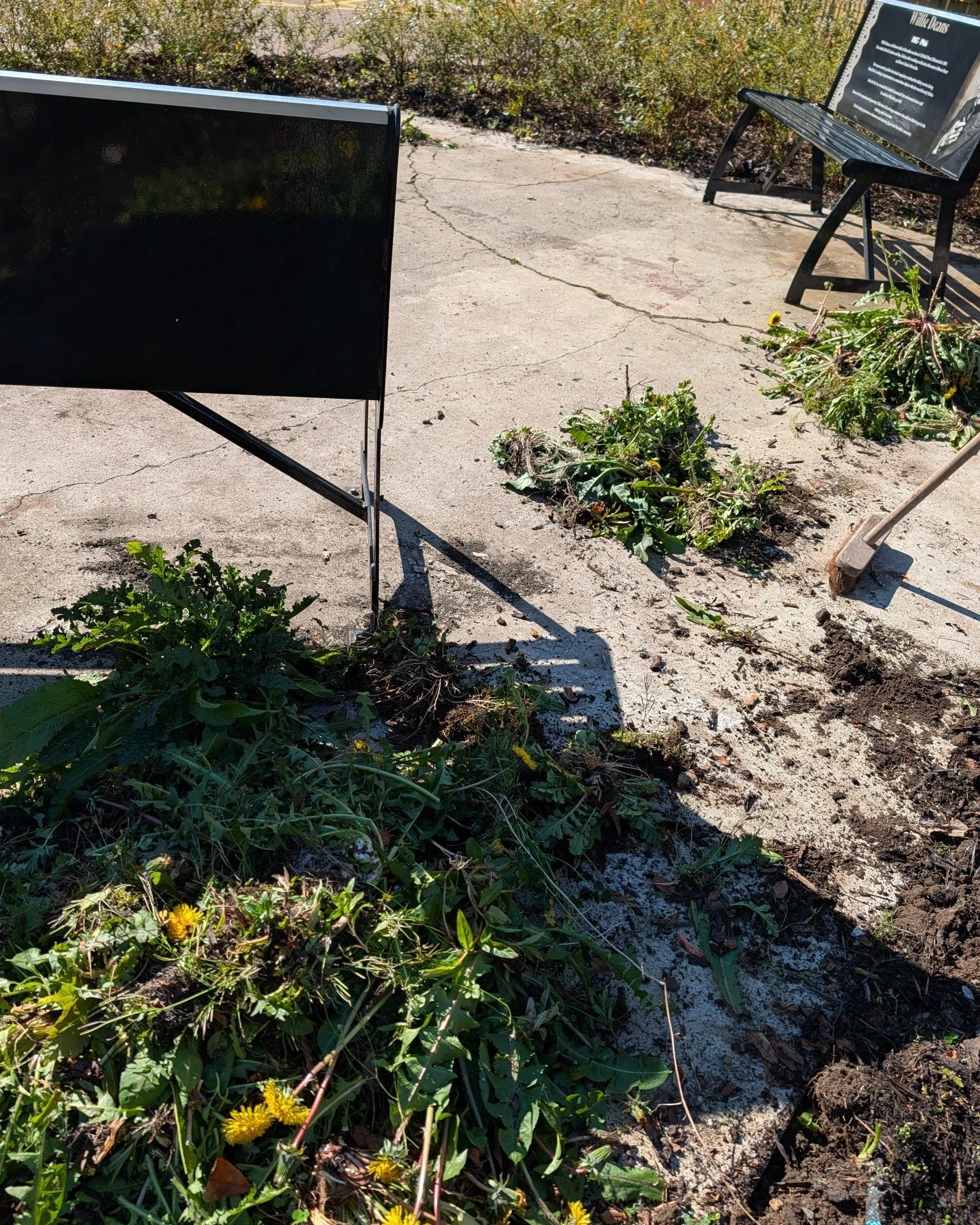 A perfect morning for weeding. 

We spent some time in the Poetry Garden and the commemorative bench area on Brown&rsquo;s Road, Newmilns giving it some much-needed TLC. From tidying up the beds to refreshing the heritage interpretation panels, bin a