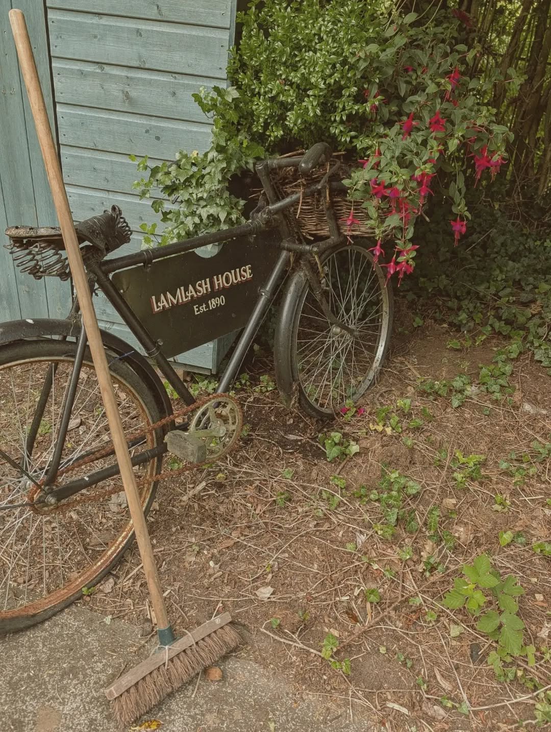 There is always plenty happening at Lamlash House behind the scenes as we get ready for summer wedding season.

Today's job was all about the garden.&nbsp; We spent the day tidying borders, weeding and adding some fresh planting to make sure everythi