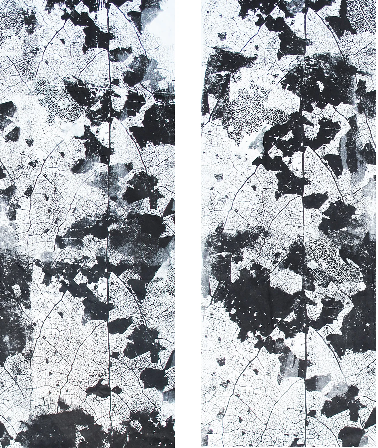 Motiv: Epidermis Fundort: an der Strasse, Blattskelett Material: Baumwolle Format: 1,50m x 2,50m