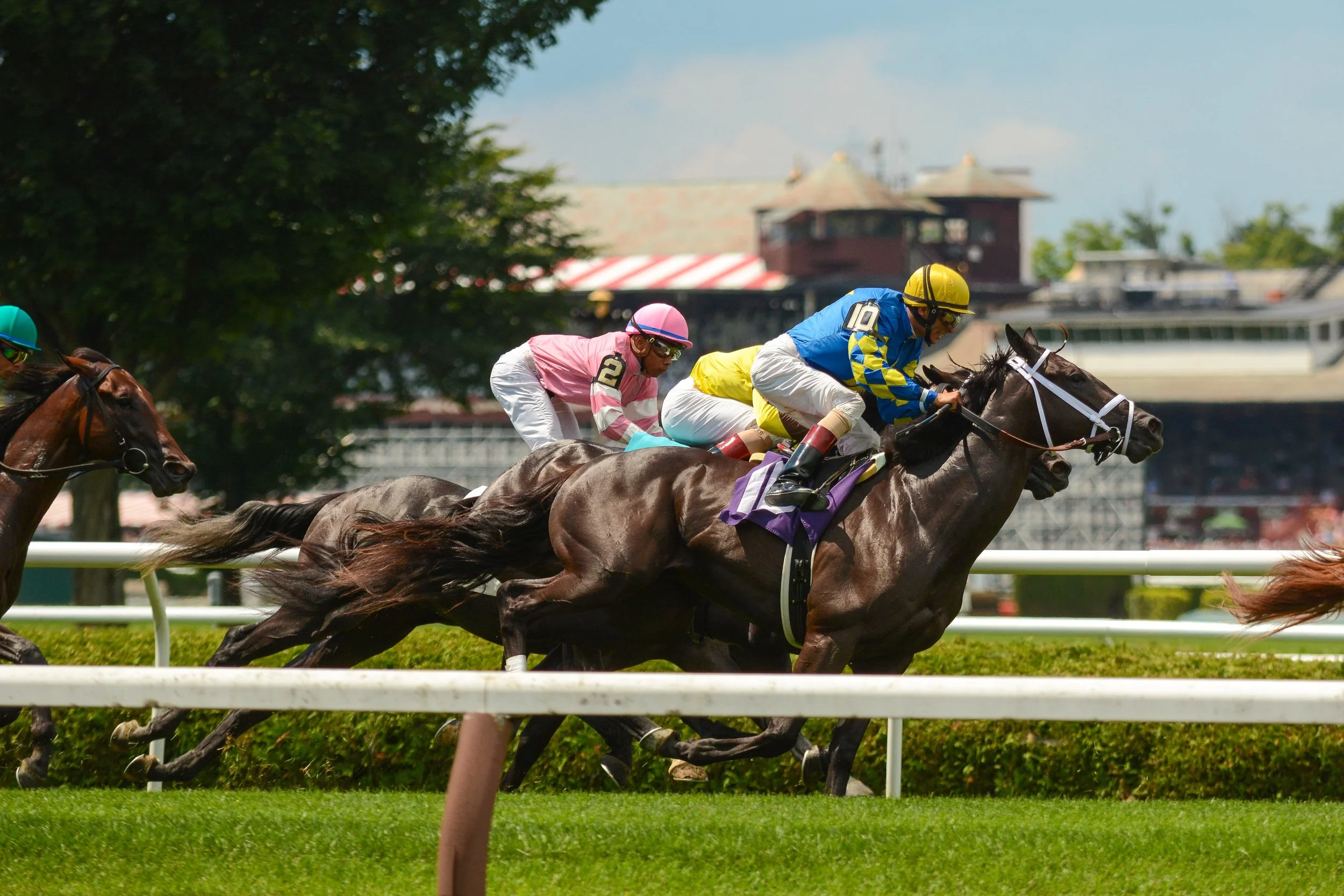 Saratoga Race Track - Race #5