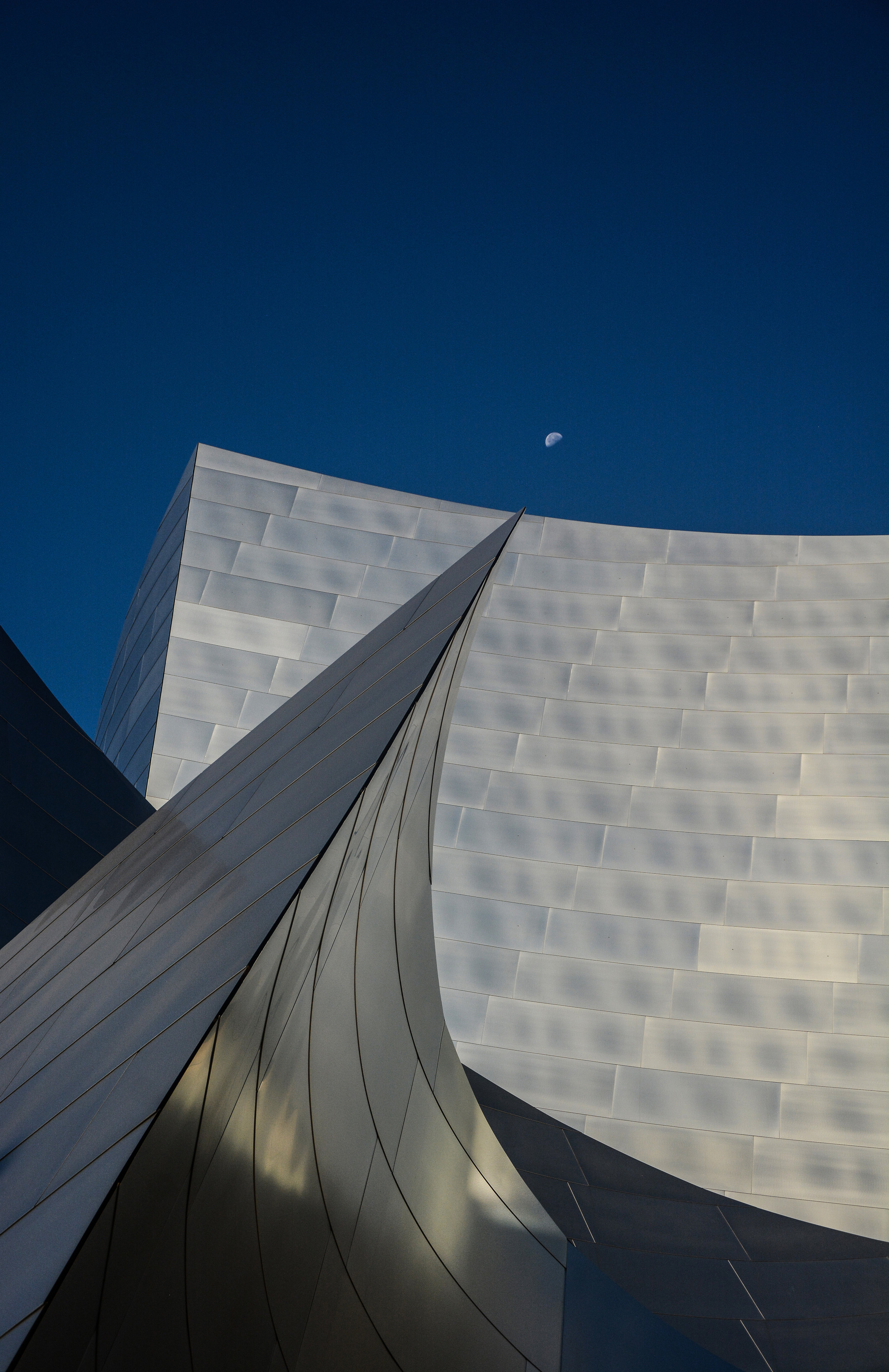 DSC_0147-1.jpg