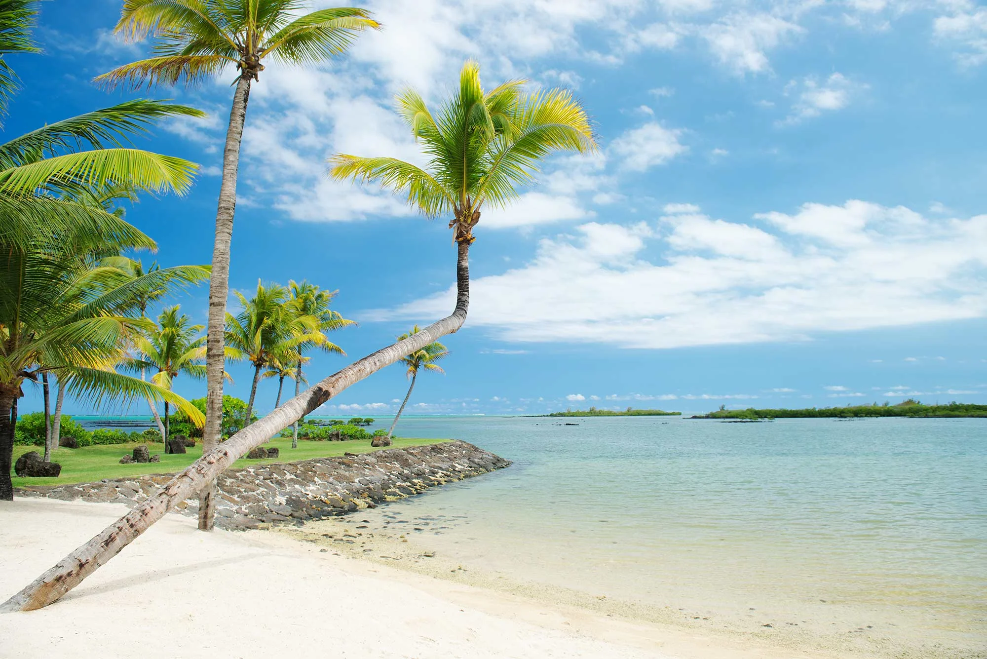 MAURITIUS_Jack_Hardy_3.jpg