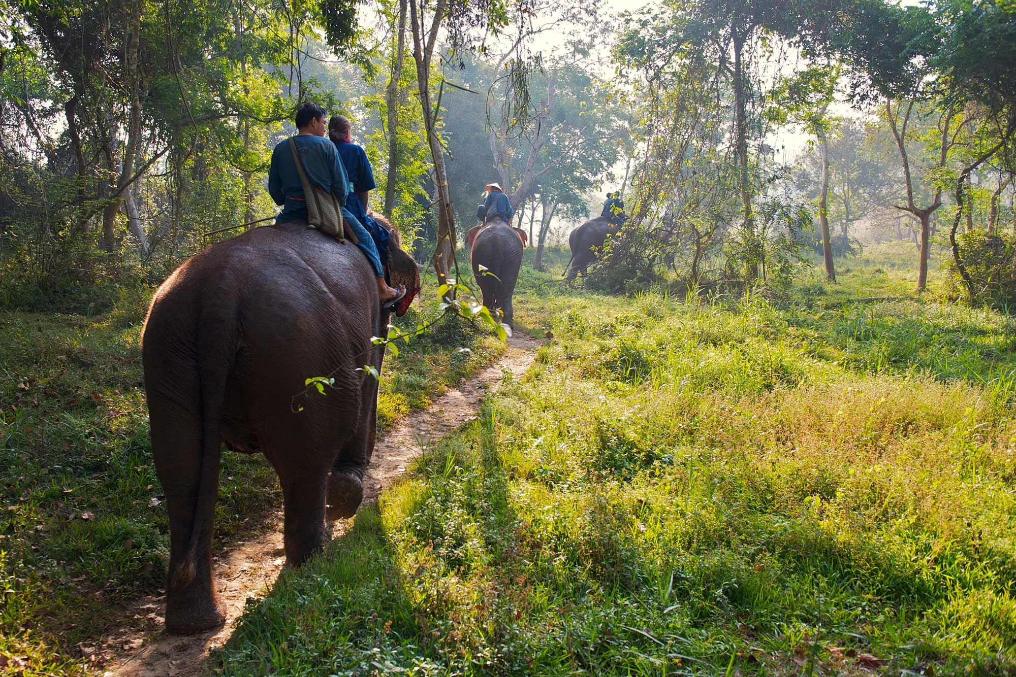 Four Seasons Tented Camp (Extraordinary Experiences)