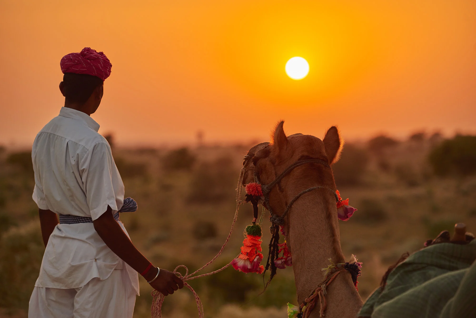 Sand Dune Gala, Rajasthan