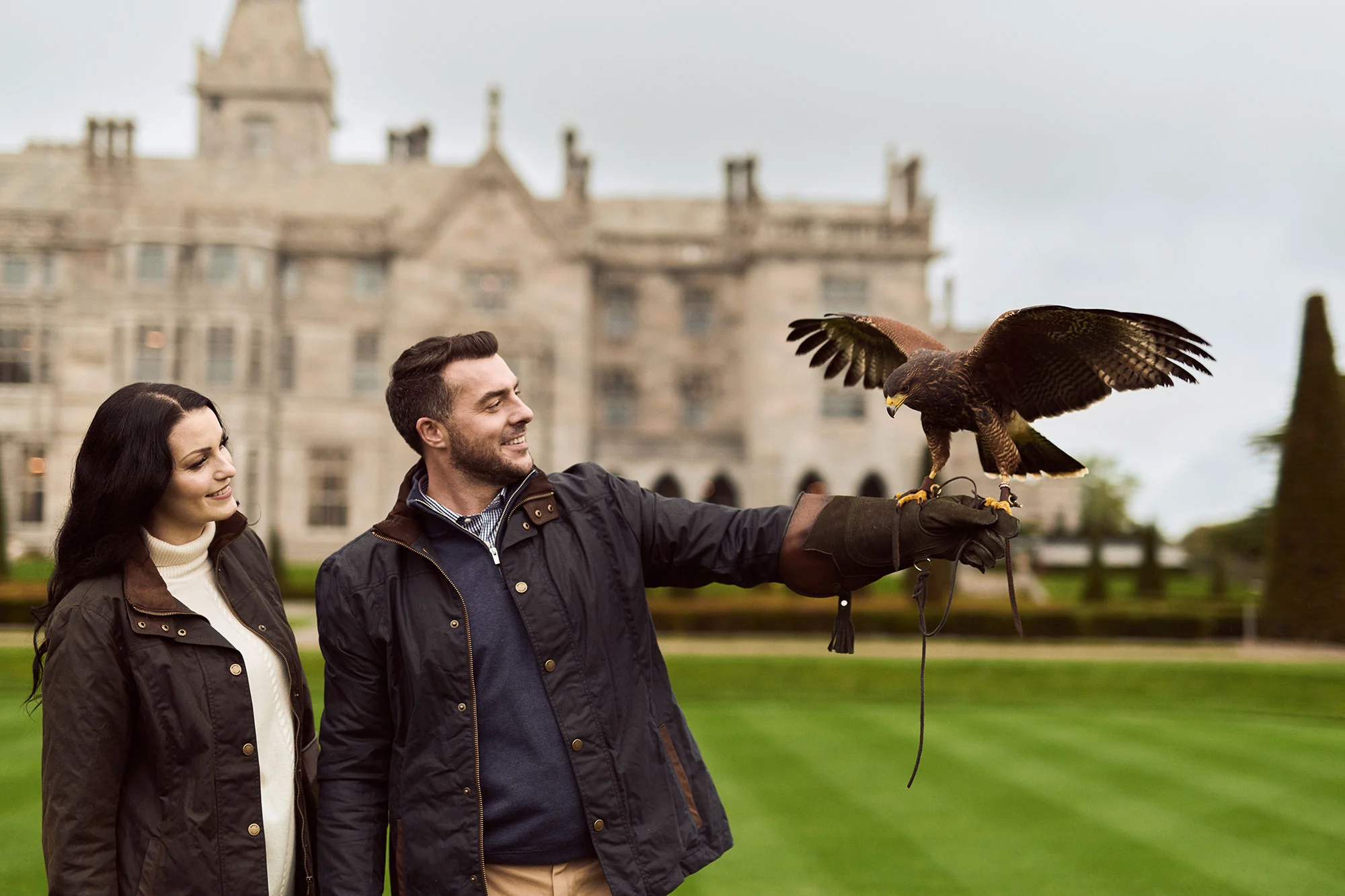 Adare_Manor_Falconry_702_Jack_Hardy_2017.jpg