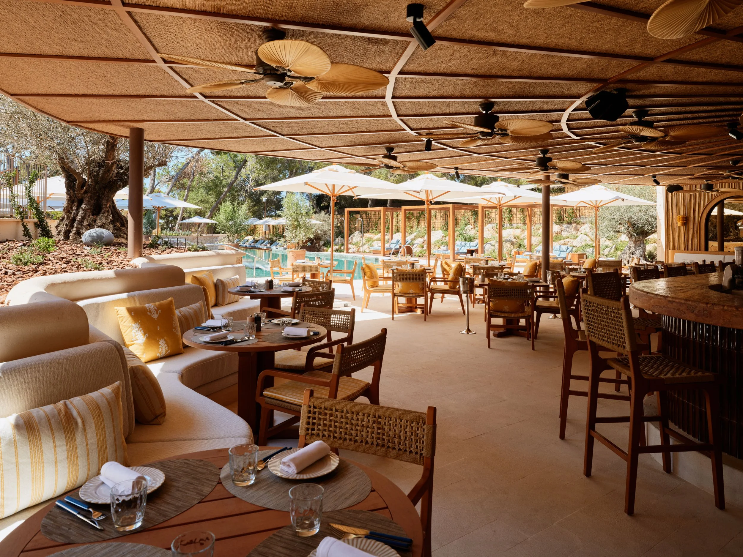 MOMAL_P2_Thalos_Restaurant_2_Jack_Hardy_2026.jpg
