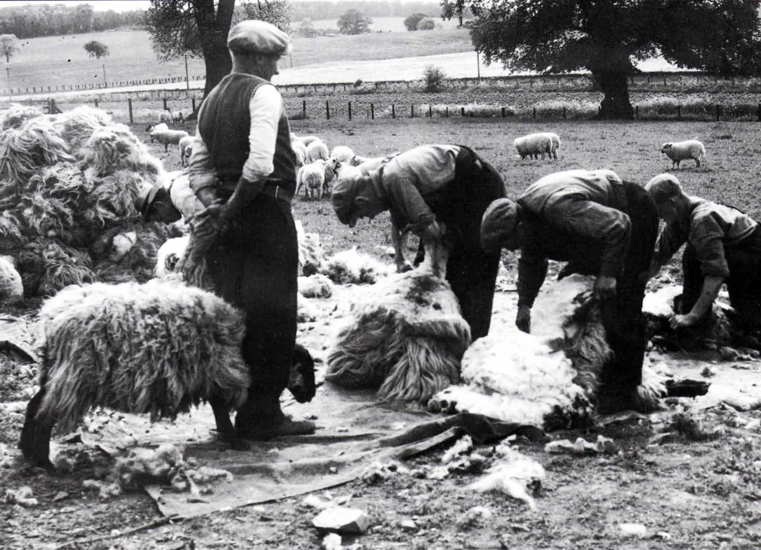Illustrated talk on the history of the local wool trade