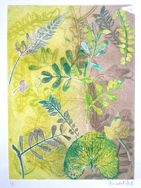Botanical Monoprinting Day