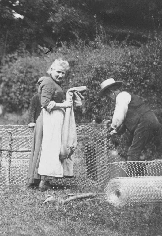 Dartmoor Women in Farming