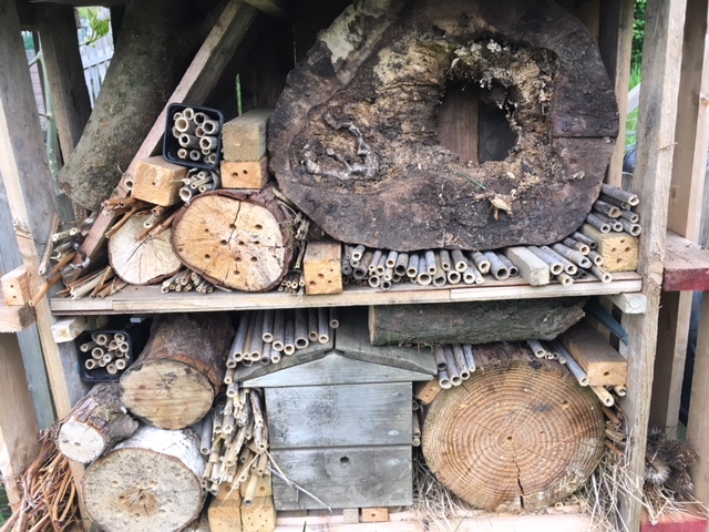 How to Help the Bees : A FREE talk and q&amp;a session with Angharad Barlow