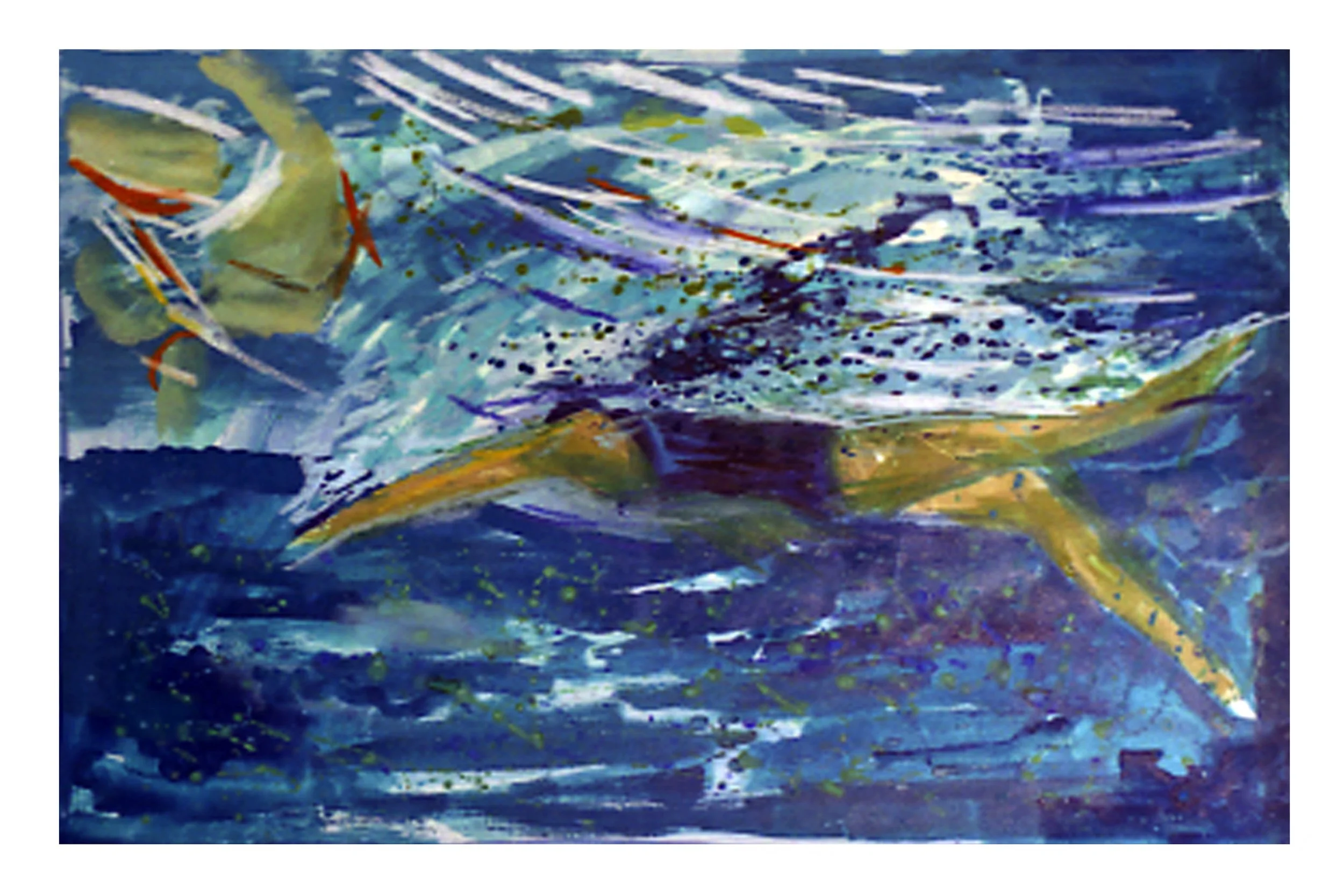 Swimmer