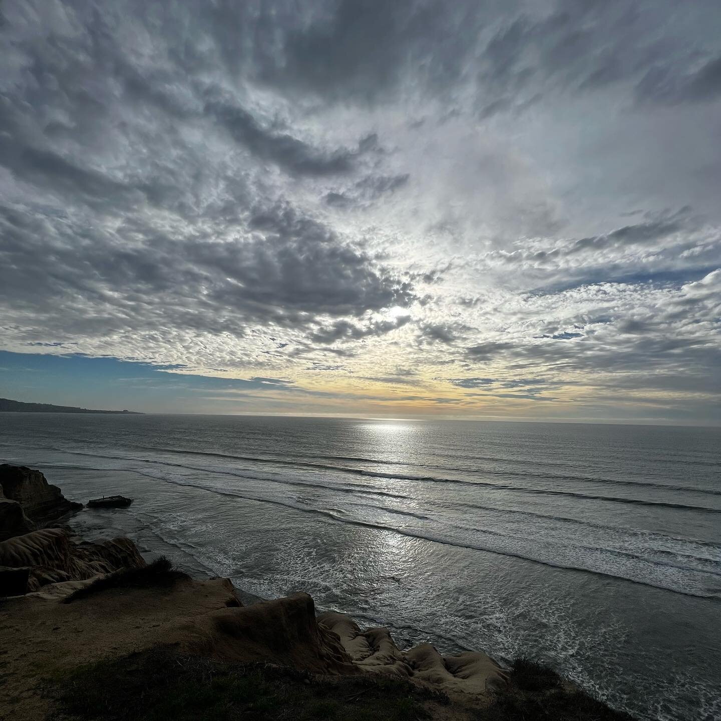 As the poets say, &ldquo;nothing comes close to the golden coast&rdquo;

Grateful to start this year in chill(y) California with some of my favorite cats and kittens✨