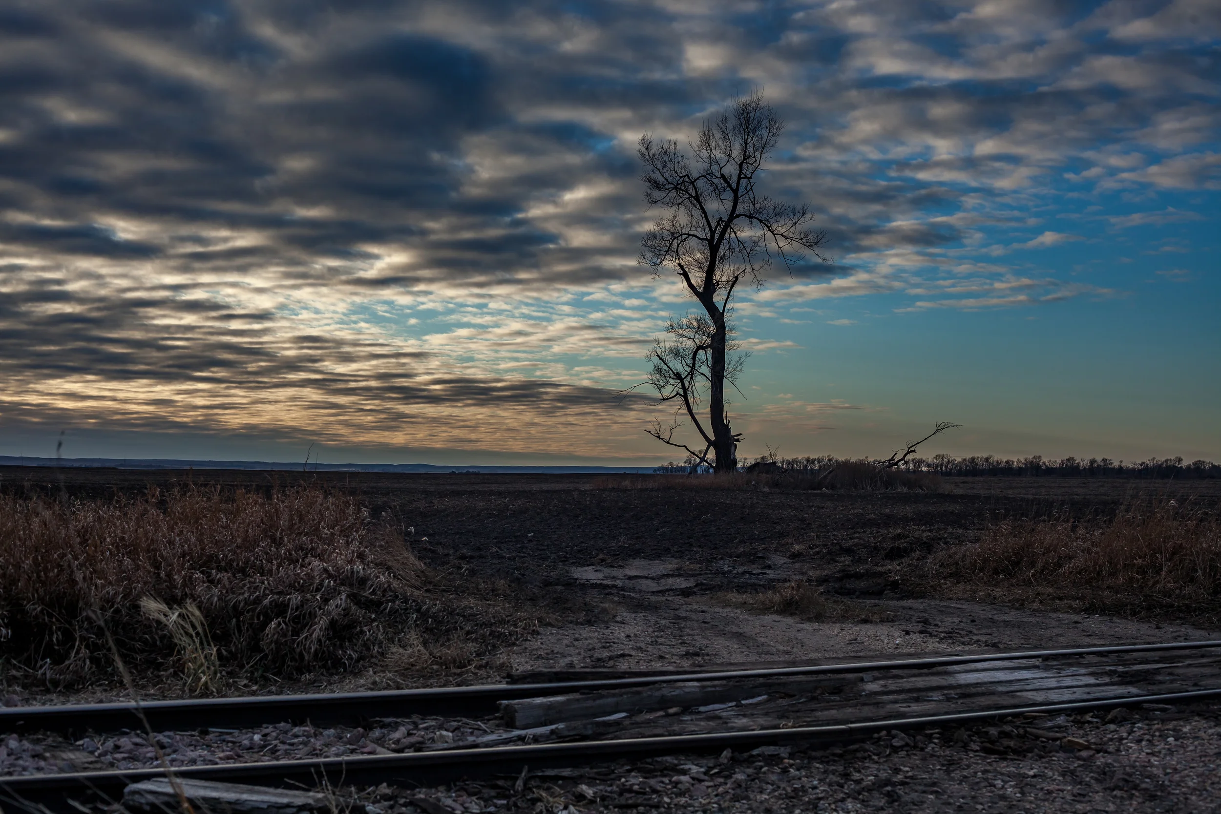 Photo Daniel William McKnight