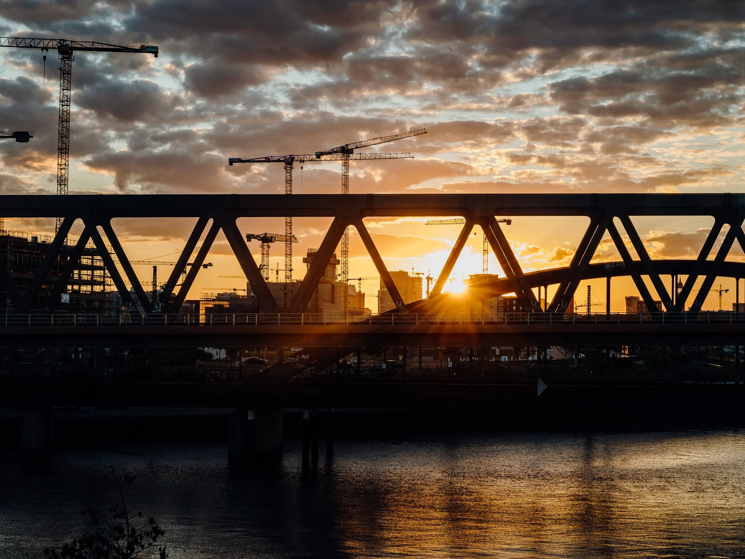 RENE FLINDTP1161411.jpg