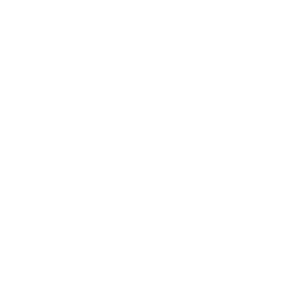 RENE FLINDT FOTOGRAFIE