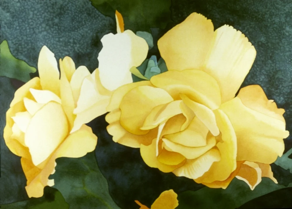 Begonia
