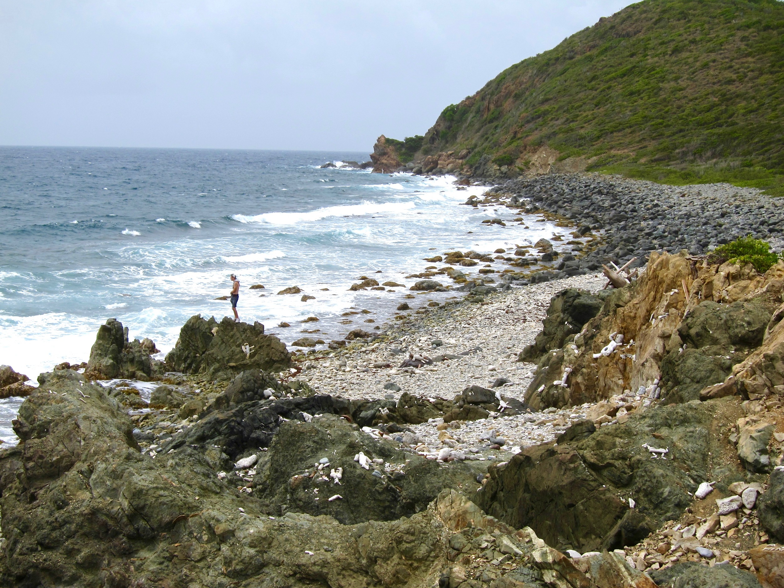 Coleman. St. John, USVI.