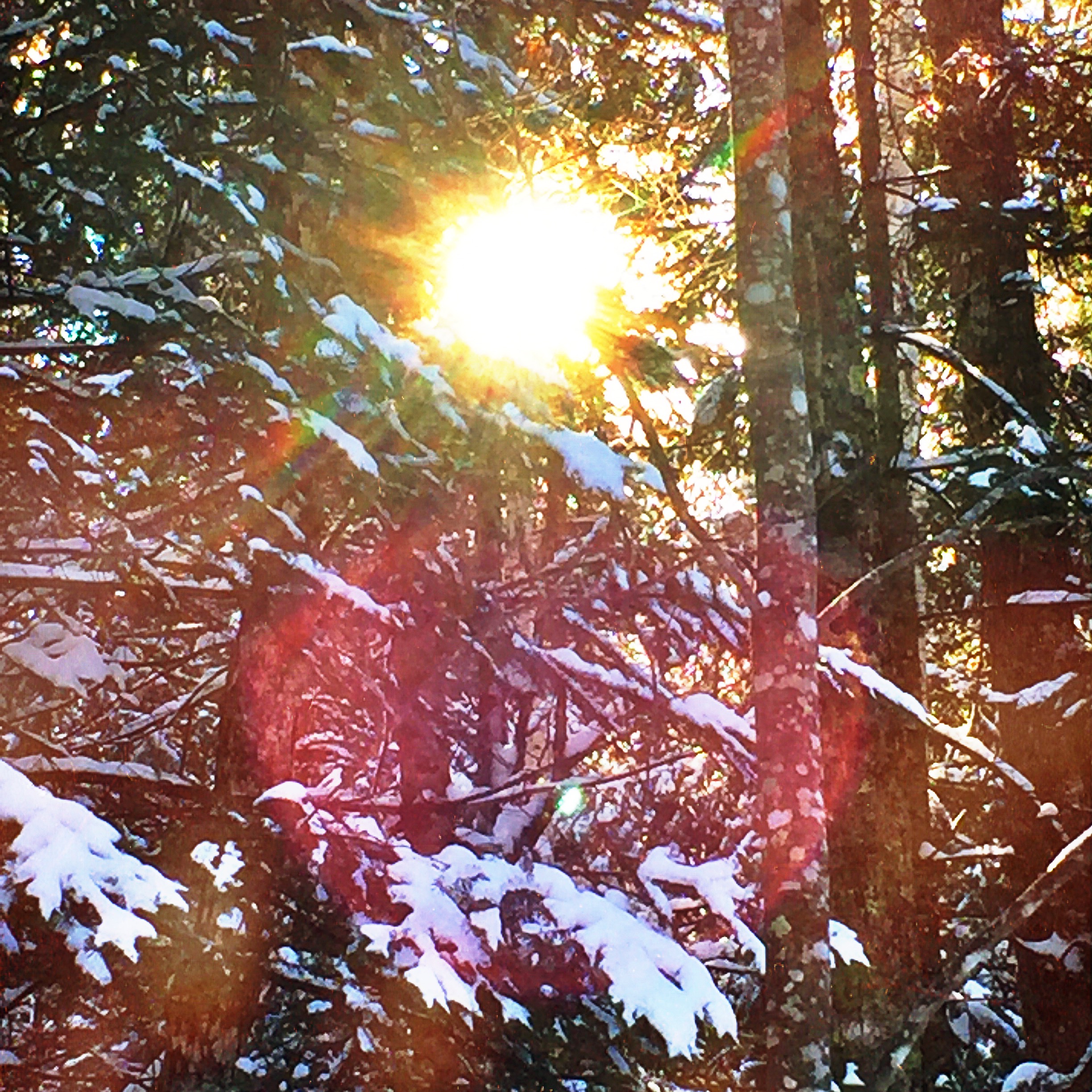 U.P. Michigan border, November 21st, 2016