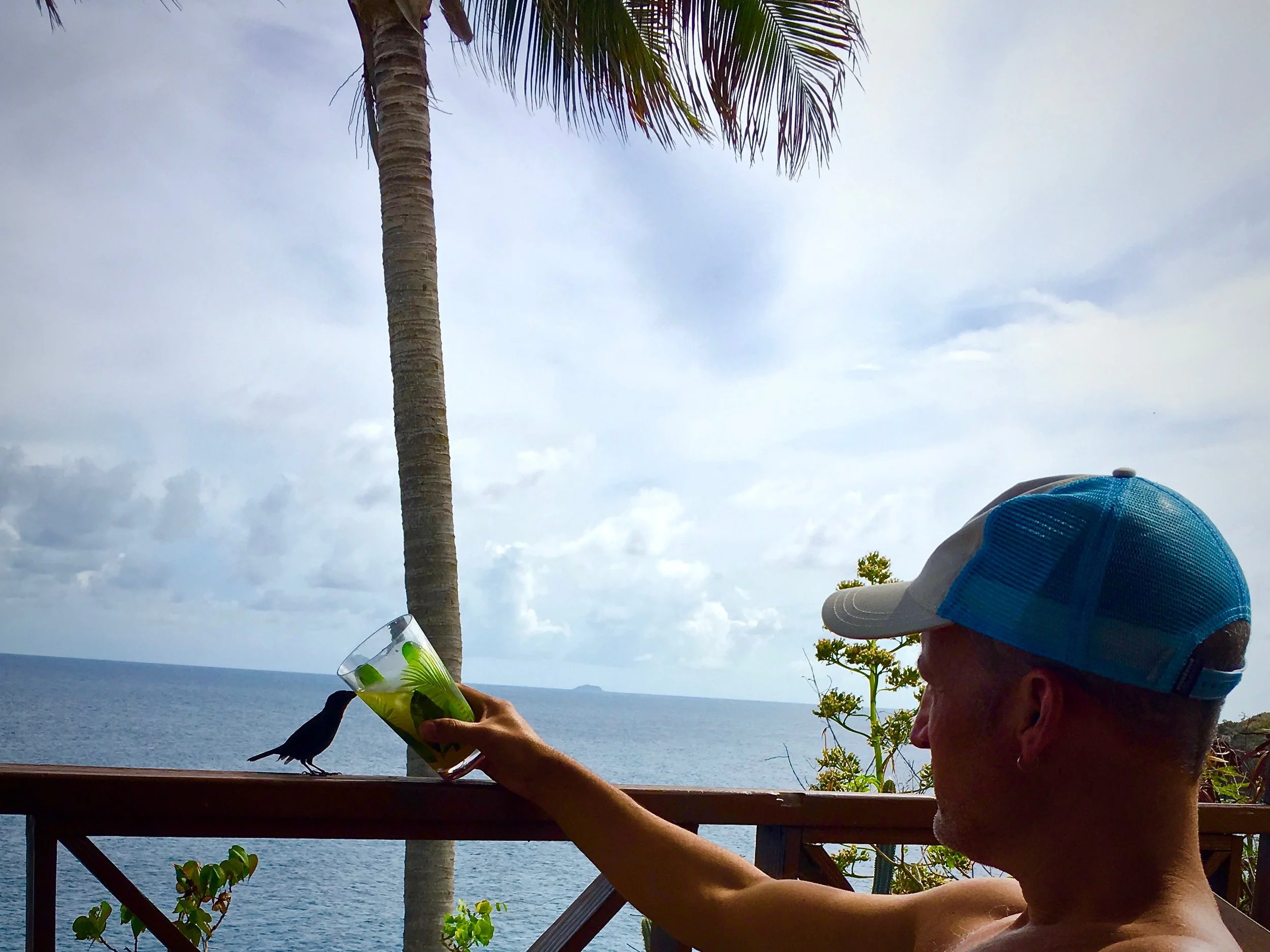 June 2016, St. John, USVI